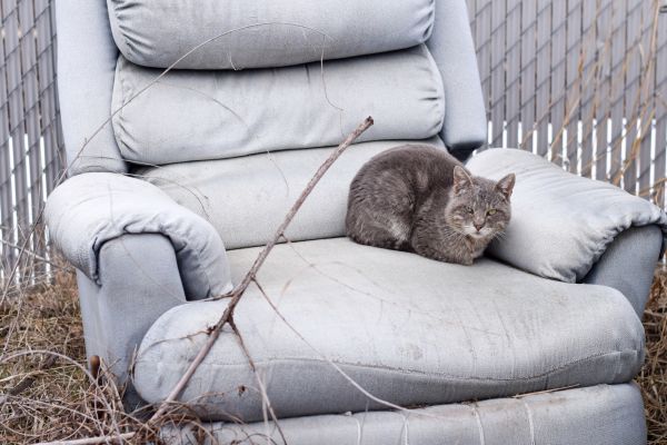 Recliner Disposal in Santa Rosa Beach
